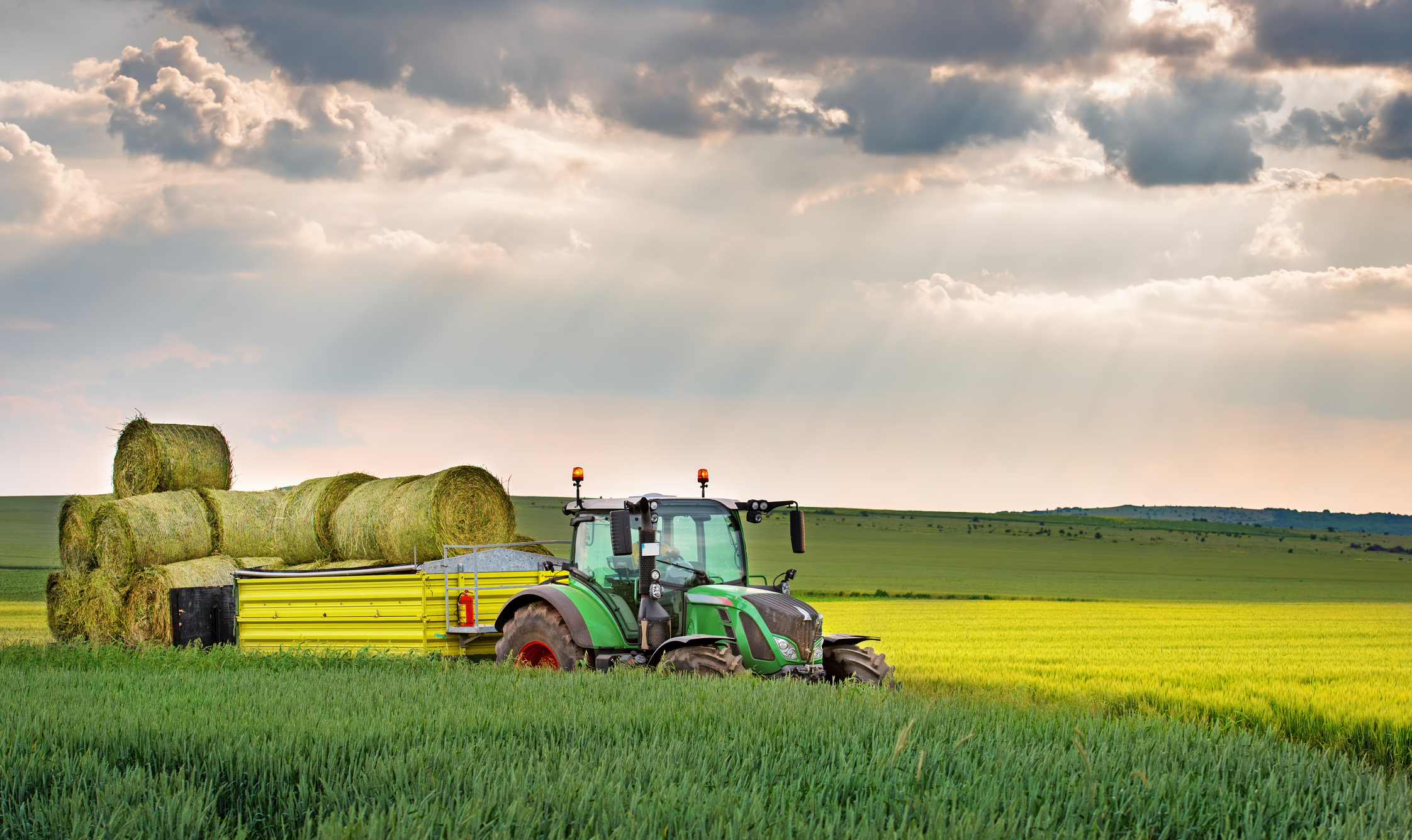 Tractor in Fields