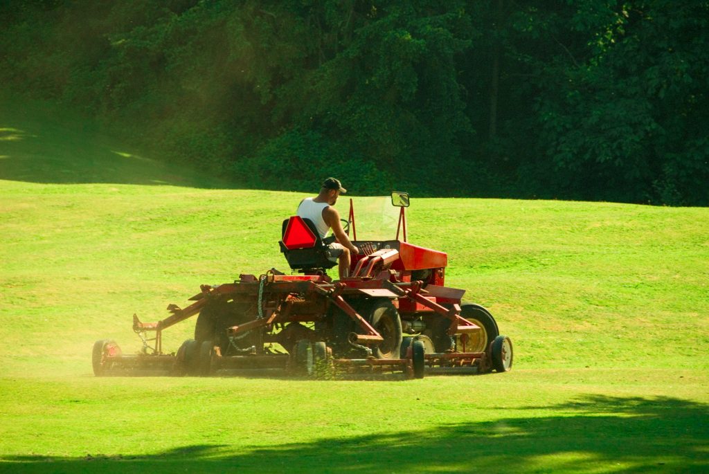 grass cutting