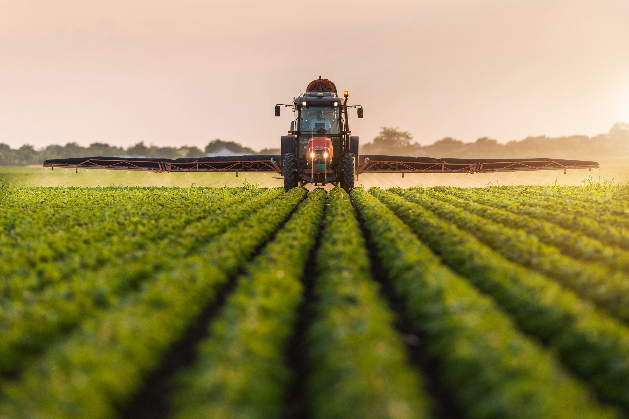 HST Tractor Spraying field