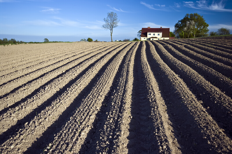 Ploughed Field