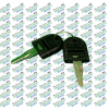 Solis Tractor Ignition Key (x 2)