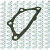 Solis 26 Tractor Water Pump Gasket
