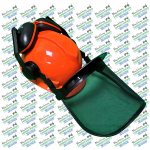 safety helmet 1